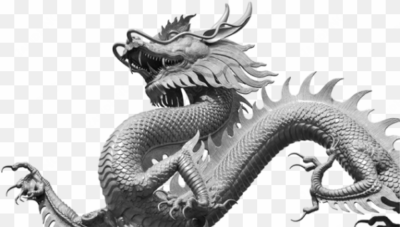 monday sunday - cantonese dragon