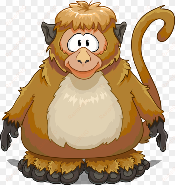 monkey costume on a player card - club penguin monkey suit