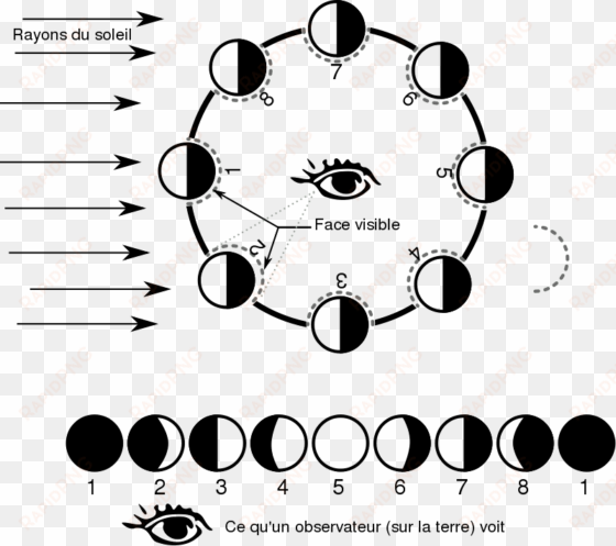 moon phases diagram black and white