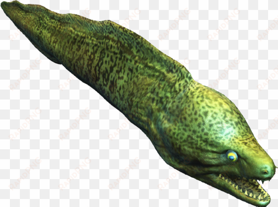 moray eel - assassin's creed eel