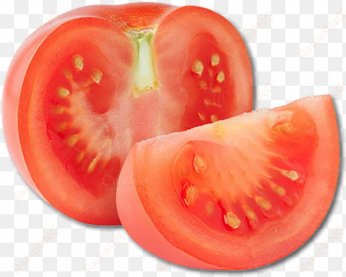 more images & video - slice tomato transparent background