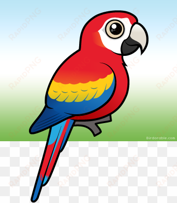 more products - draw a cute scarlet macaw