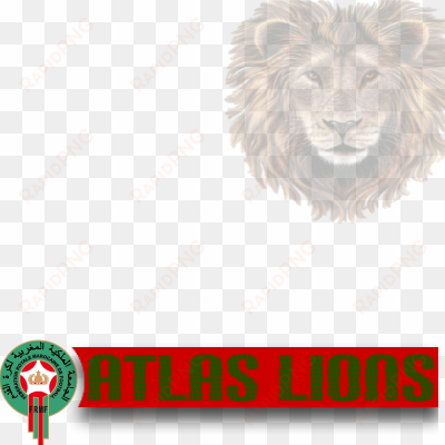 morocco clipart lion - moroccan national team lions