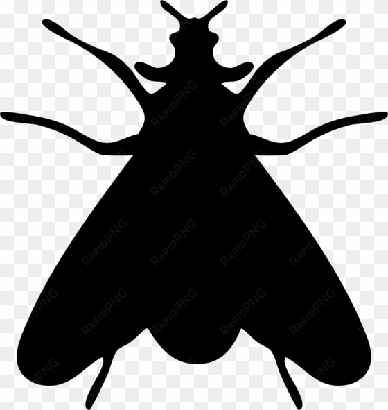 moth insect shape comments - fly silhouette png