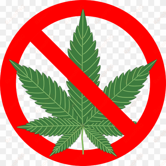 motion to dismiss filed challenging patients' rights - reasons not to smoke marijuana: the complete