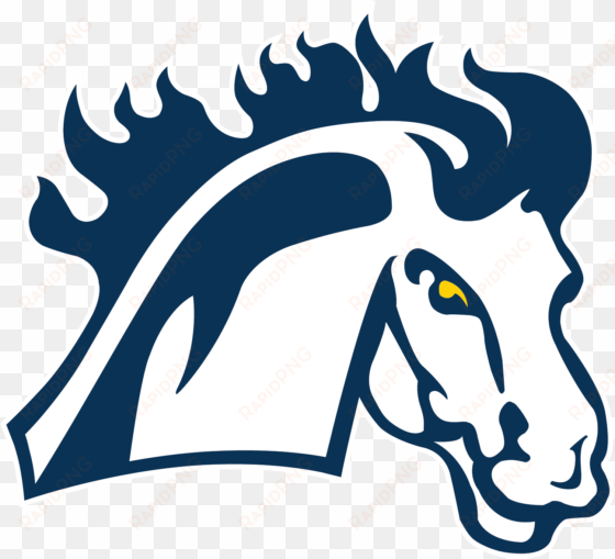 mount mercy university mustangs