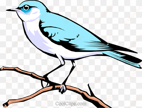 mountain bluebird royalty free vector clip art illustration - illustration