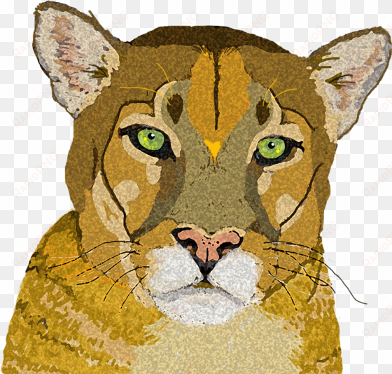 mountain lion 3 copy - cougar