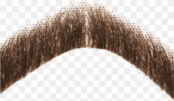 moustache png transparent images - moustache transparent background