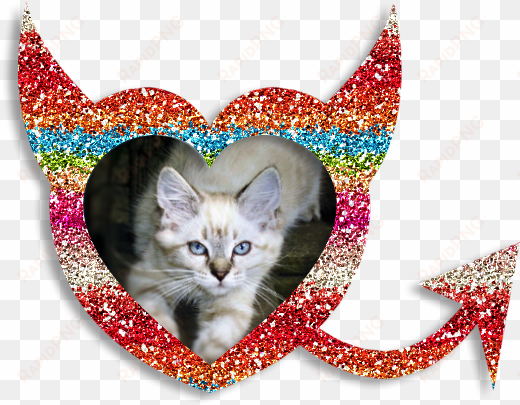 multi-color glitter heart frame right click and “save - kitten