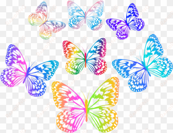 multicolored butterflies png clip art flutterbys - mein fantastisches leben - von wegen!