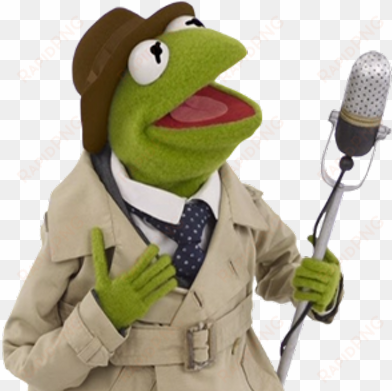 muppet newsflash - kermit the frog sesame street