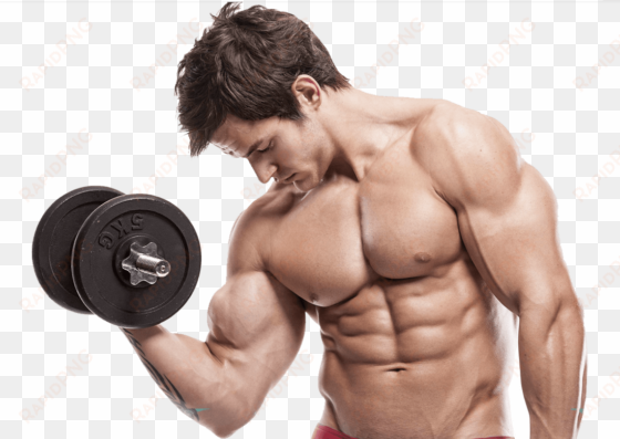 muscle guy transparent png png transparent - six pack and biceps
