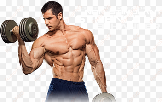 muscle png images all - weight training