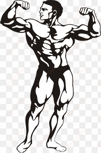 muscular man public domain vectors - bodybuilder clipart