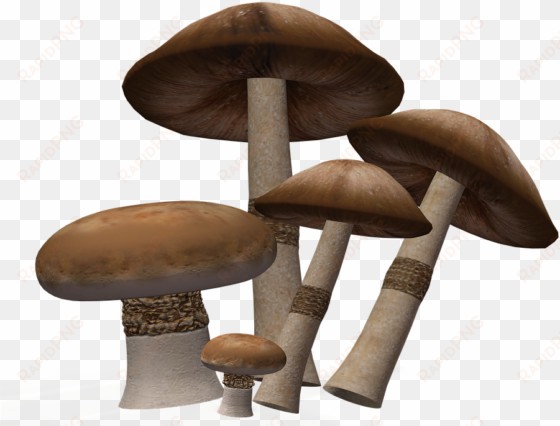 mushroom png image background - clip art