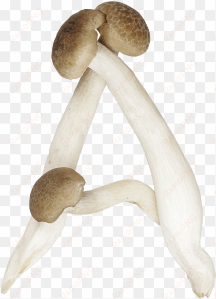 mushrooms font - mushroom letters