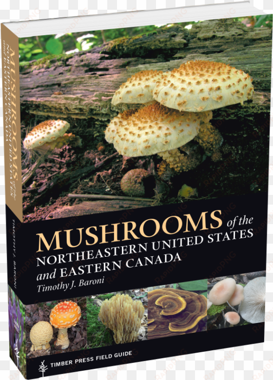 mushrooms of the northeastern united states and eastern - mushrooms of the northeast: timber press field guide