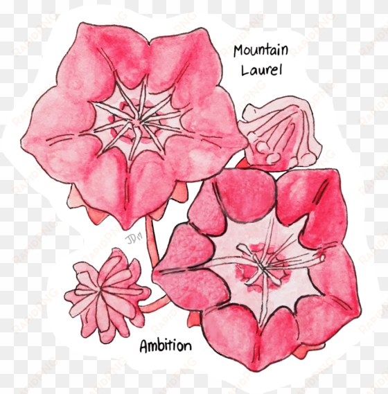 my art me emotions victorian flower language flowers - clematis