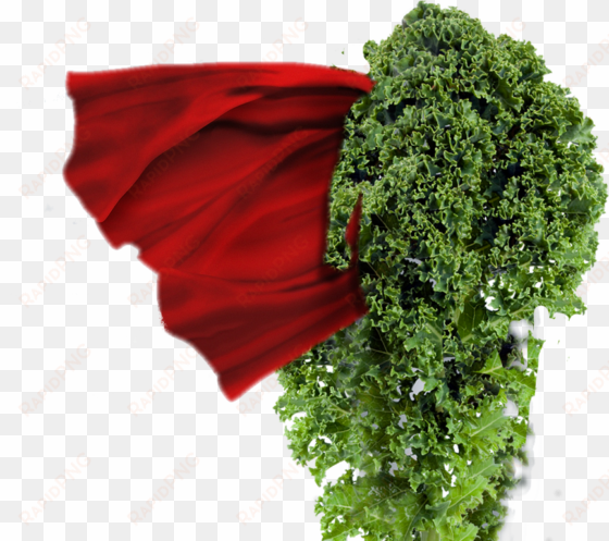 My Time For Little Reward, But Today I Really Wanted - Kale Powder - Organic 5 Lbs transparent png image