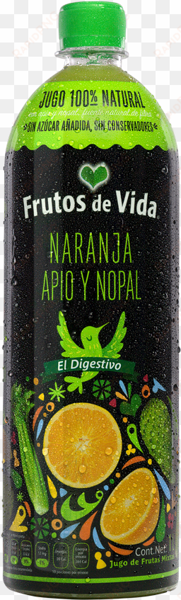 naranja apio y nopal - jugo de naranja apio y nopal