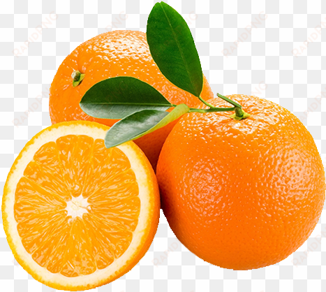 naranja-separador - orange fruit