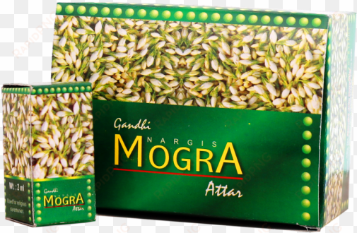 nargis mogra - malt