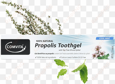 natural oral care - comvita propolis toothgel 90g