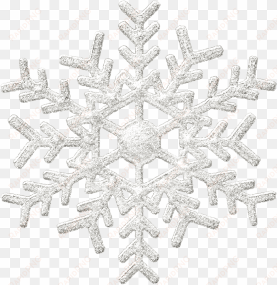 nature - white snowflake png transparent