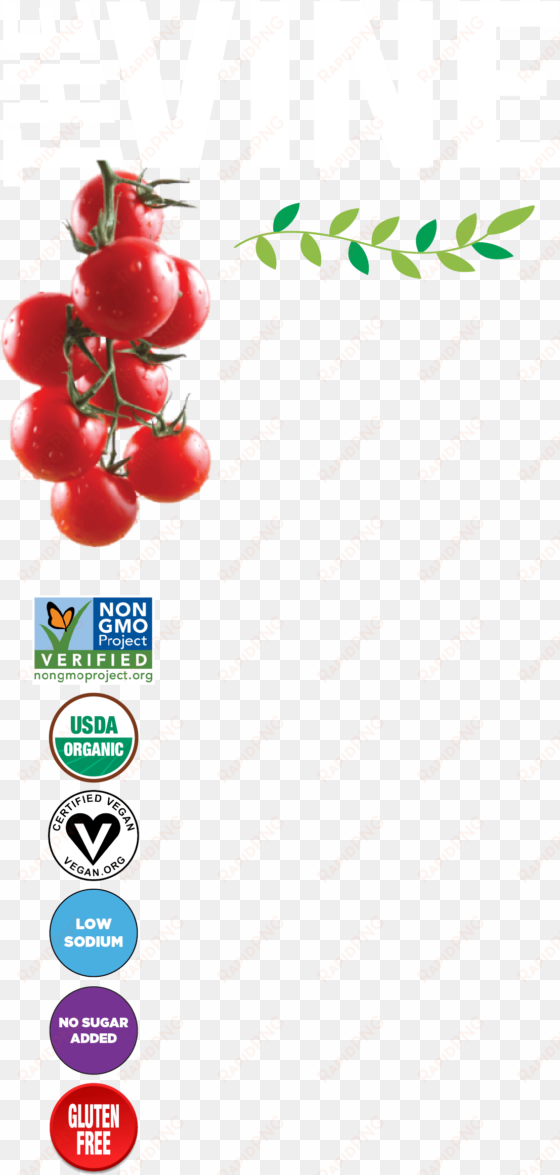 nature's way, cranberry fruit,100 veg capsules