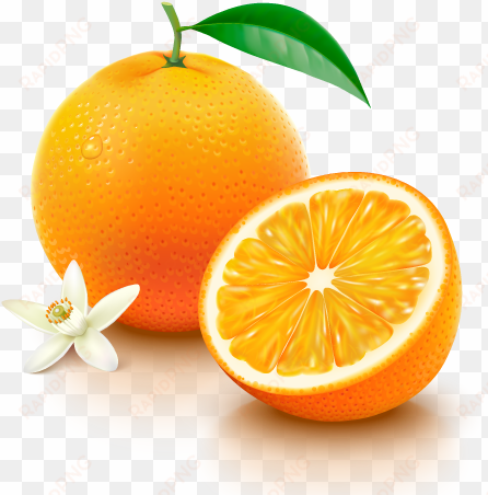 navel oranges - vitamina c endovenosa