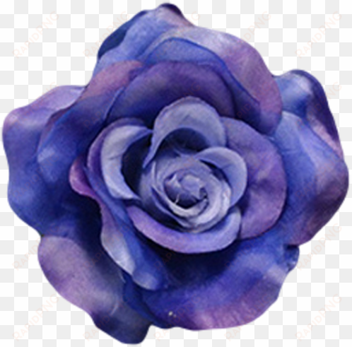 navy blue - garden roses