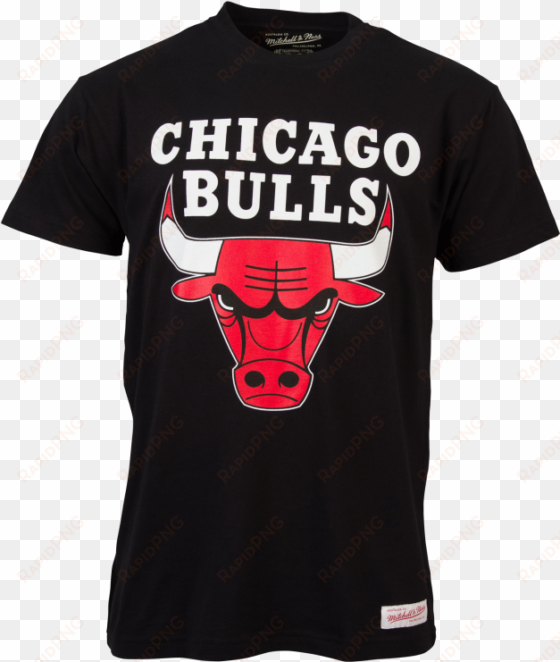 ness chicago bulls mens team - chicago bulls