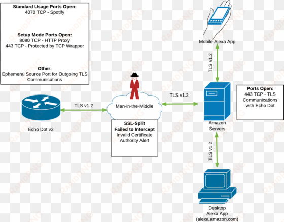 network findings diagram - amazon echo network diagram