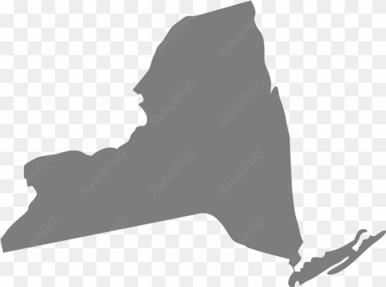 new york current cases - new york state vector png