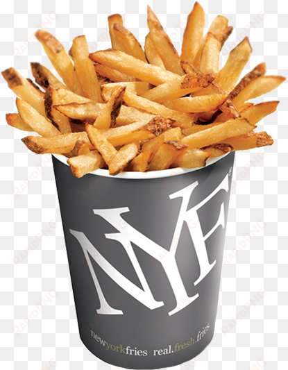 new york fries - new york fries small fries