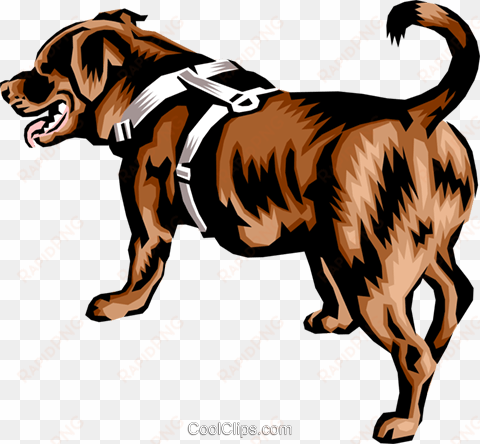 newfoundland dog royalty free vector clip art illustration - newfoundlands dog vector png clipart