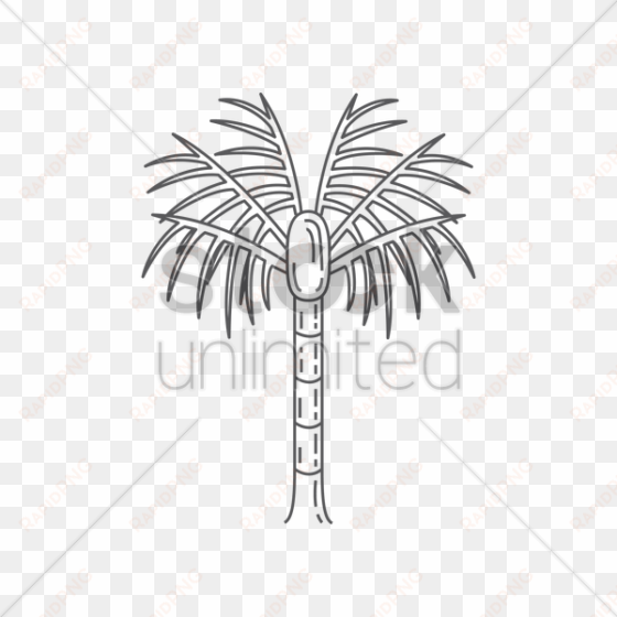 nikau palm tree vector image - desert palm
