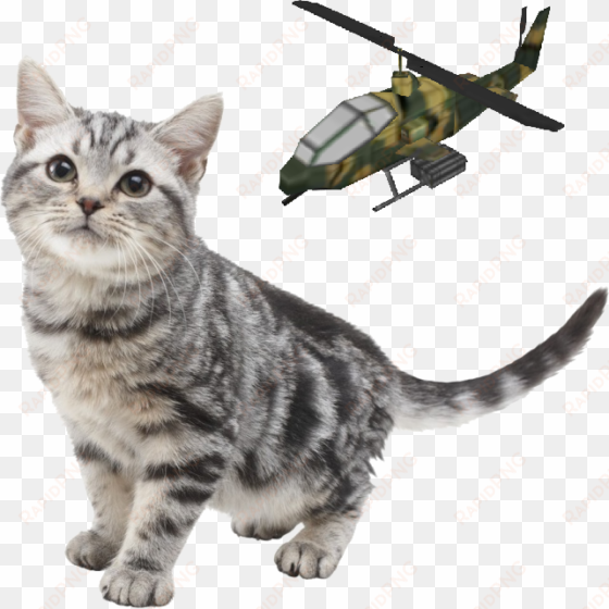 Nintendogs Cat And Helicopter - Nintendogs And Cats transparent png image