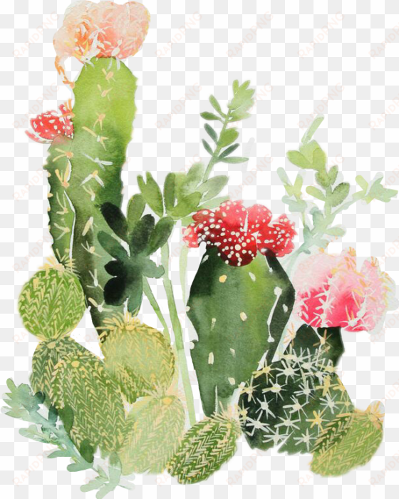 nopales - cactus watercolor print