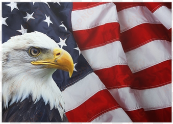 North American Bald Eagle On American Flag Poster • - American Flag Badass transparent png image