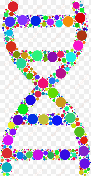 nucleic acid double helix dna circle line - dna