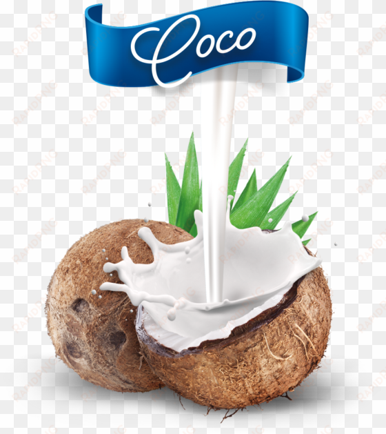 nuevo coco mestre - feelfree nutrition protein porridge - coconut 100g