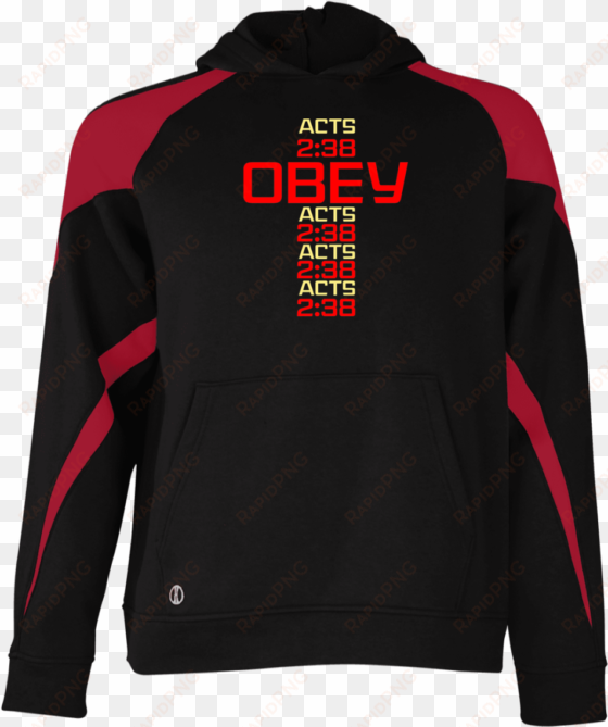 obey acts - hoodie