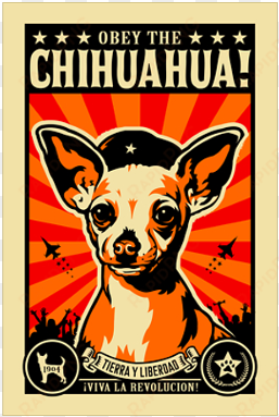 obey the chihuahua rev poster - obey the chihuahua