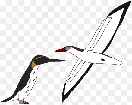 ocean birds png picture - portable network graphics
