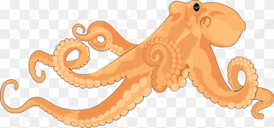 octopus 02 clipart png