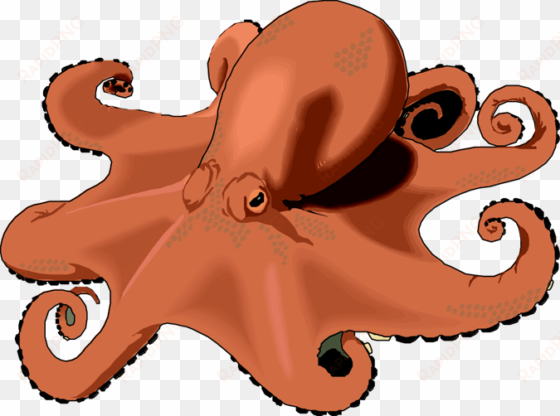octopus png transparent free images - octopus clip arts transparent