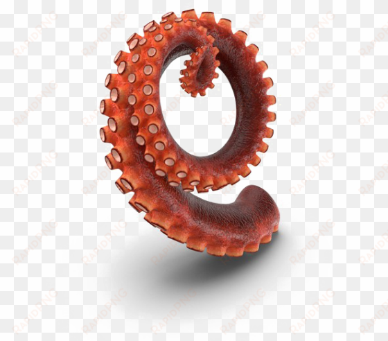 octopus tentacles png hd - tentacle