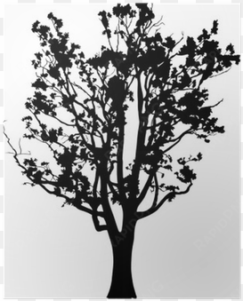 old oak tree silhouette isolated on white poster • - oak